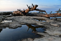 Costa della Corsica - forte fotografia naturalistica maschile 